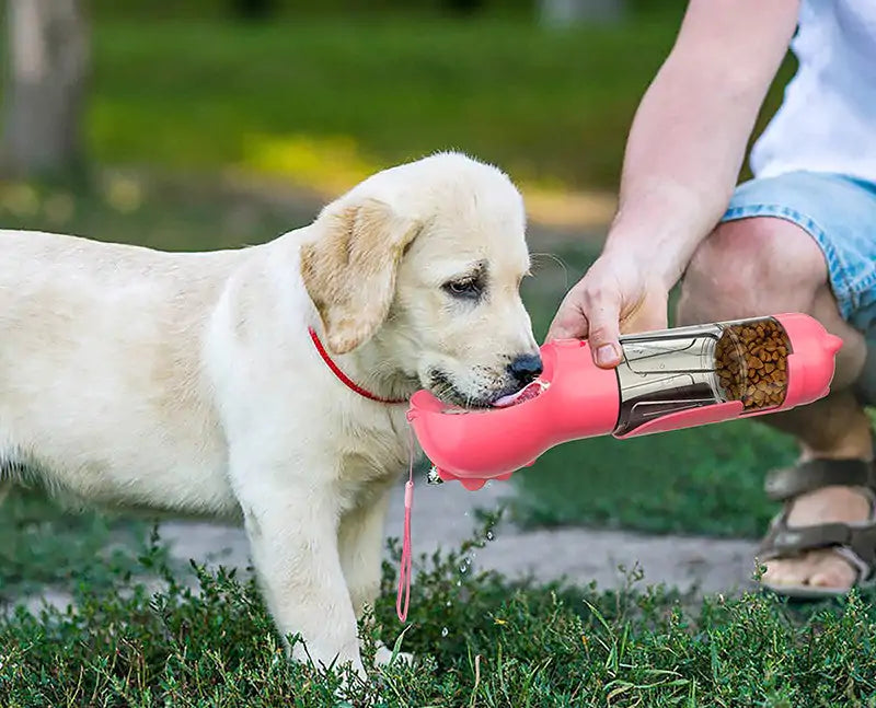 Travel Buddy Pet Feeder - Smart Shopper 