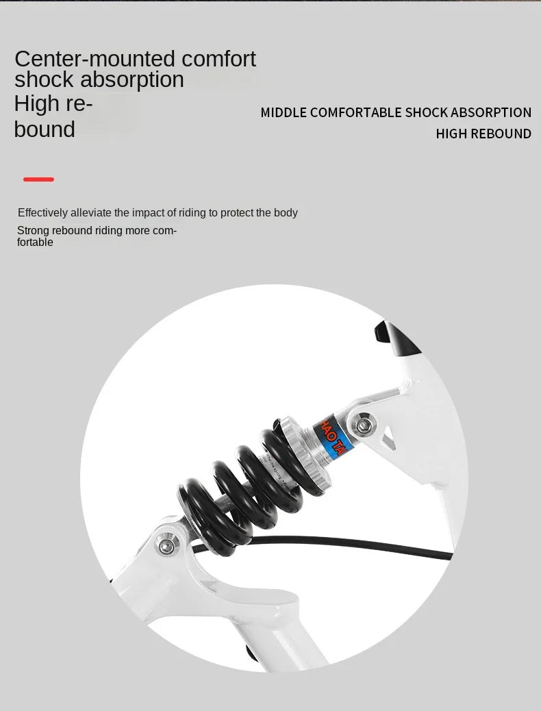 Aluminum Alloy Folding Frame 22 Inch Outdoor Portable Disc Brake Shock Absorber Adult Variable Speed Student Bicycle Camping