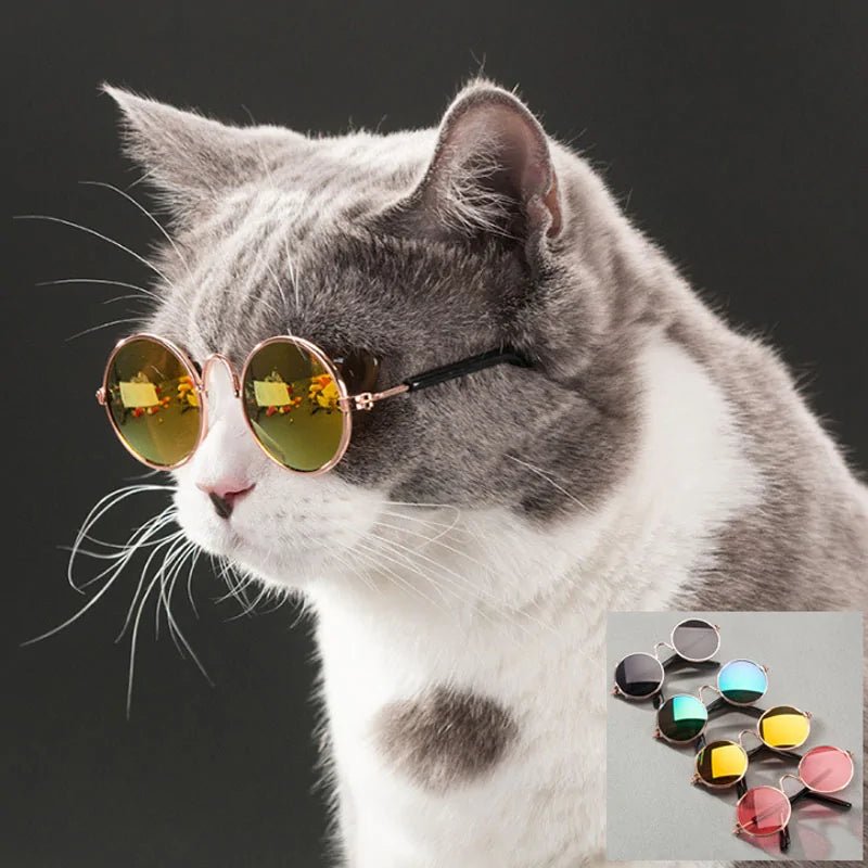 Chic Pet Shades - Smart Shopper