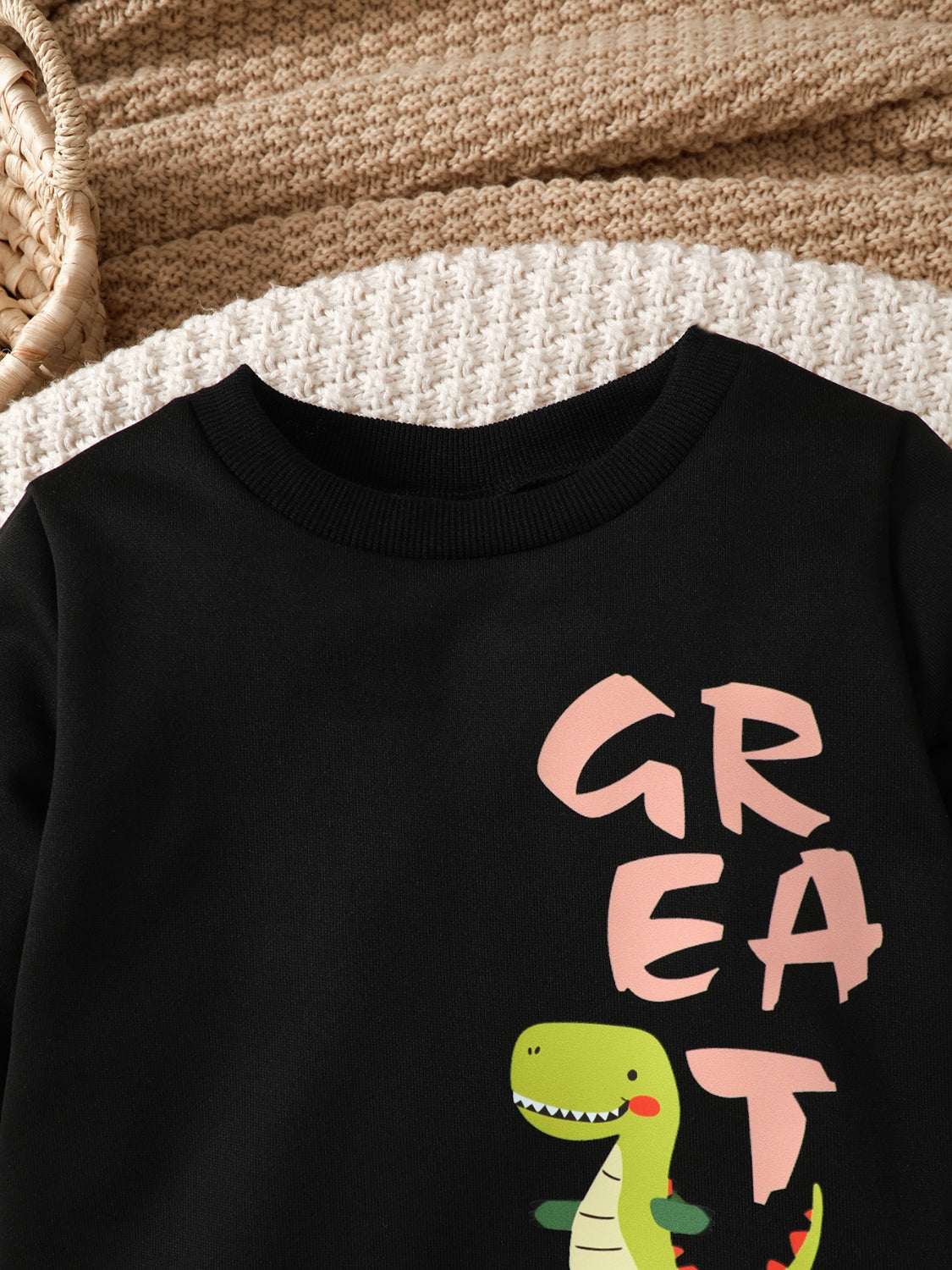 Children's Dinosaur Graphic Sweatshirt and Pants Set - Smart Shopper