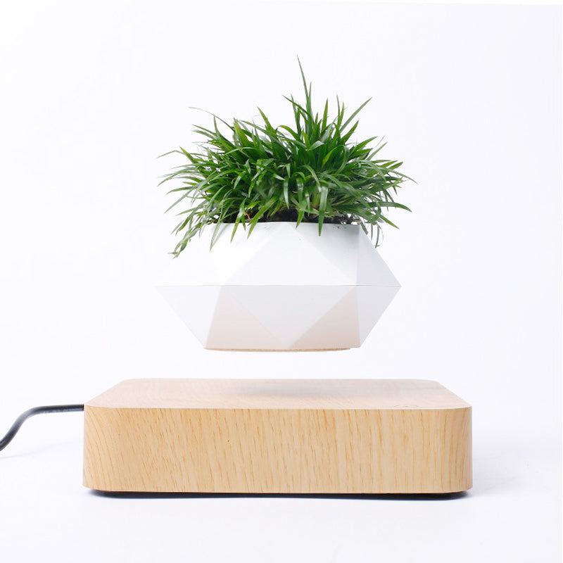 Novelty Levitating Rotation Flowerpot Magnetic Levitation FlowerPot - Smart Shopper