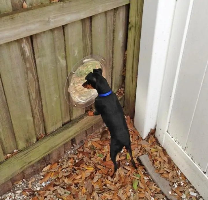 Fence Window for Pets - Smart Shopper