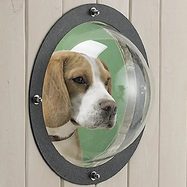 Fence Window for Pets - Smart Shopper