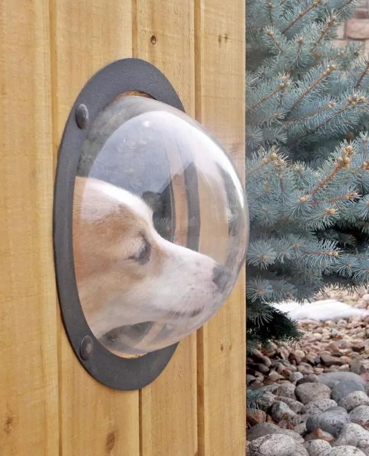 Fence Window for Pets - Smart Shopper