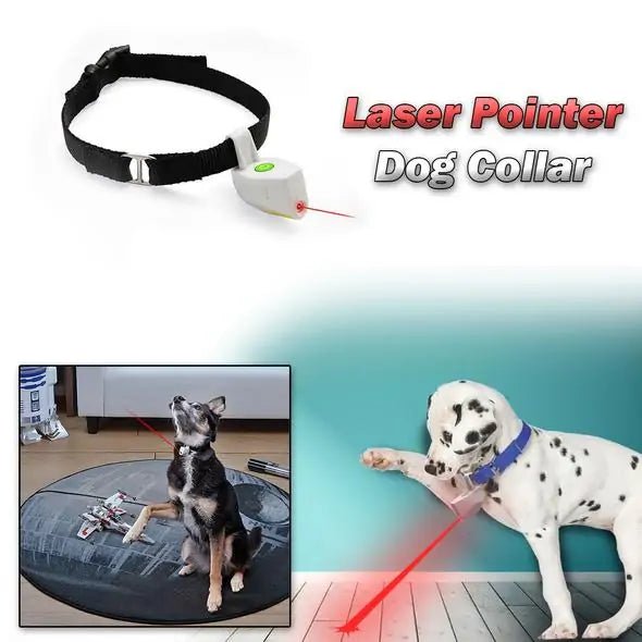 Laser Fun Pet Collar - Smart Shopper