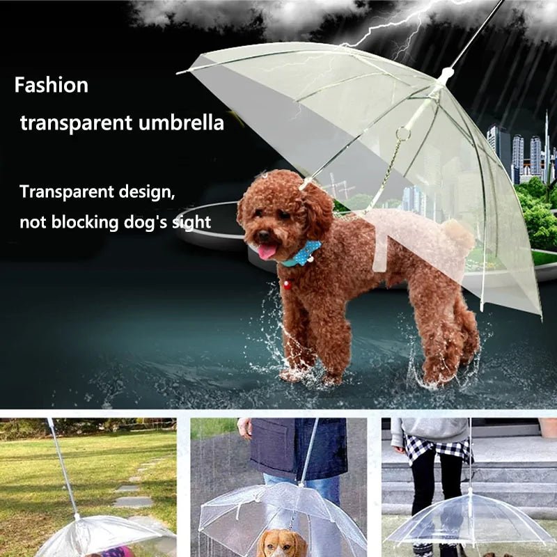 Paw Parasols - Smart Shopper