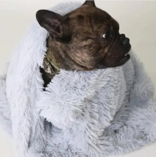 Pet Blankets - Smart Shopper