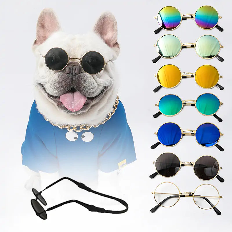 Pet Sunglasses - Smart Shopper 